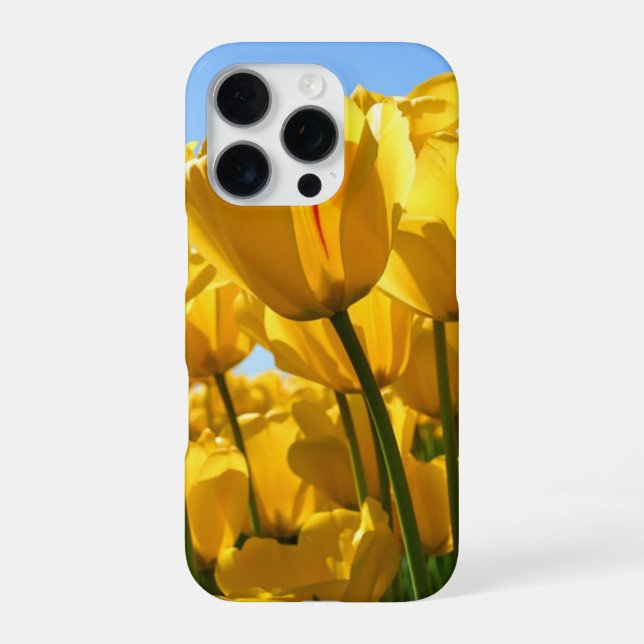 IPHONE 16 PRO HÜLLE (Rückseite)