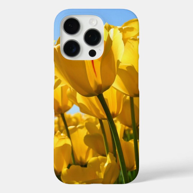 IPHONE 16 PRO HÜLLE (Rückseite)