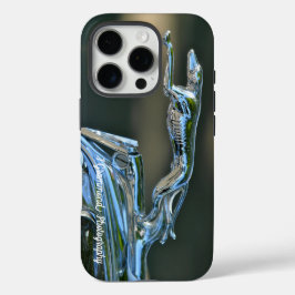 iPhone 16 Pro Phone Case