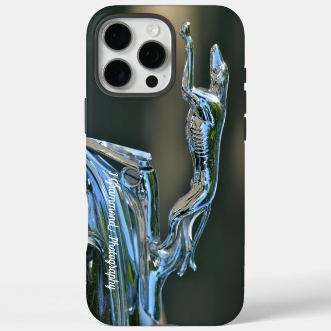 iPhone 16 Pro Plus Phone Case (Rückseite)