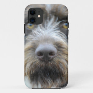 iphone 5 barly dort QPC Schablone iPh - besonders title_seo2