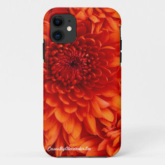 iPhone 5 Chrysantheme-Kasten Case-Mate iPhone Hülle