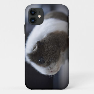 iPhone 5 Fall mit niedlichem Meerschweinchen iPhone 11 Hülle
