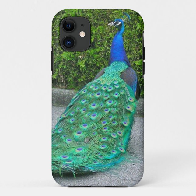 iPhone 5 Fall, "Proud Peacock" Case-Mate iPhone Hülle (Rückseite)