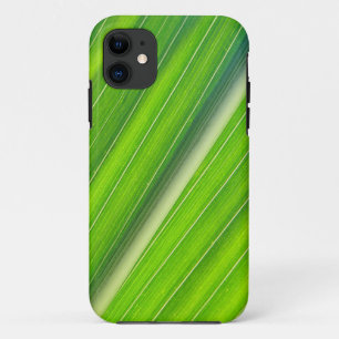 iPhone 5 Hülle hellgrünes Maisblattdesign