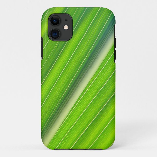 iPhone 5 Hülle hellgrünes Maisblattdesign (Rückseite)