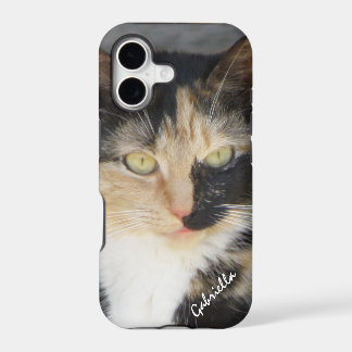 iPhone 5: Personalisierter Kalikokitty-Kasten