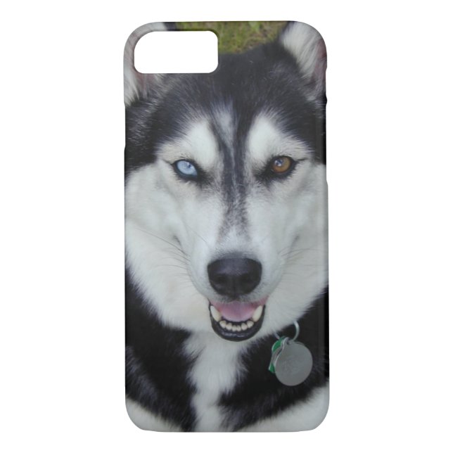 iPhone 7 Fall sibirischer Husky Case-Mate iPhone Hülle (Rückseite)