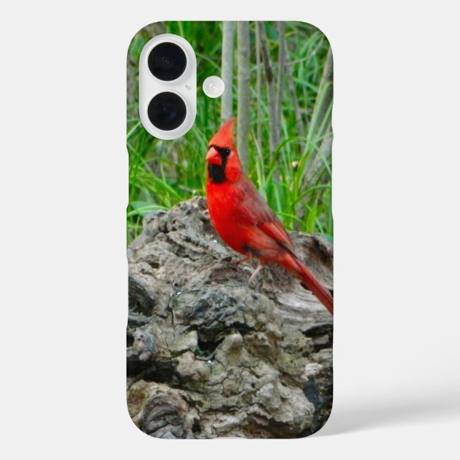 iPhone Case für Red Kardinal (Rückseite)