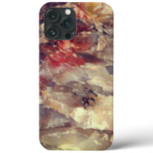 iPhone Case - Quarz in versteinertem Protokoll 3 R