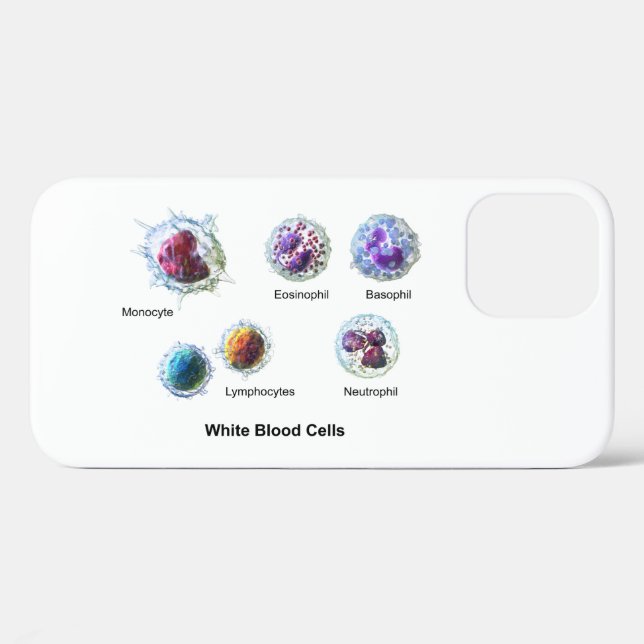 iPhone Case Weißblutzellen Leukozyten Diagramm (Rückseite (Horizontal))