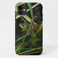 iPhone coque 5 avec photo d'une grenouille mimétiq