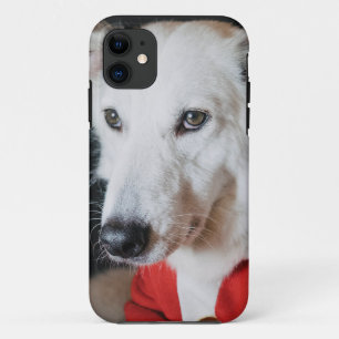 iPhone / coque ipad