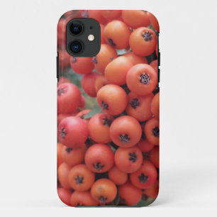 iPhone / coque ipad