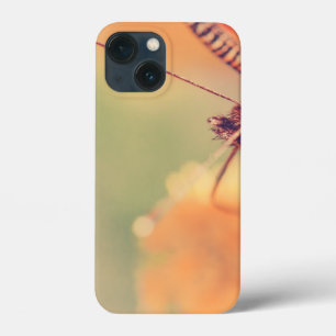 iPhone couleur olive 13 Mini Coque