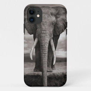 iphone, Elefant title_seo2