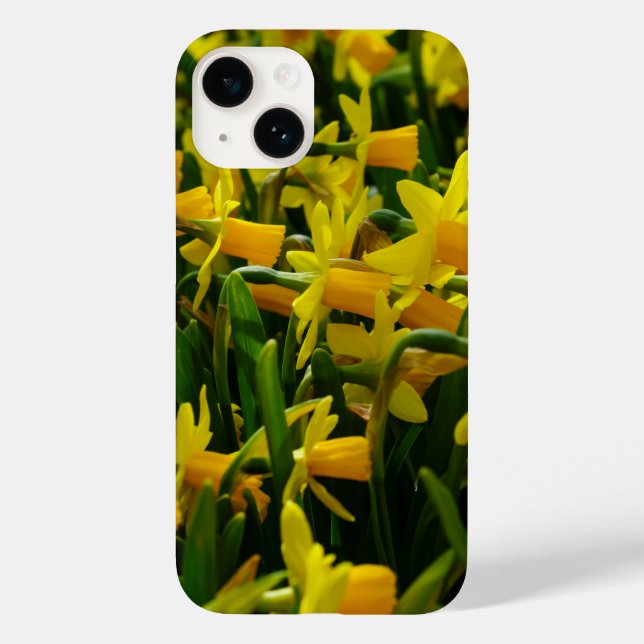 iPhone-Fall der Familie Daffodil Case-Mate iPhone 14 Hülle (Rückseite)