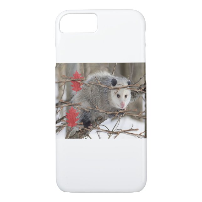 IPhone Fälle Opossum-Natur Case-Mate iPhone Hülle (Rückseite)