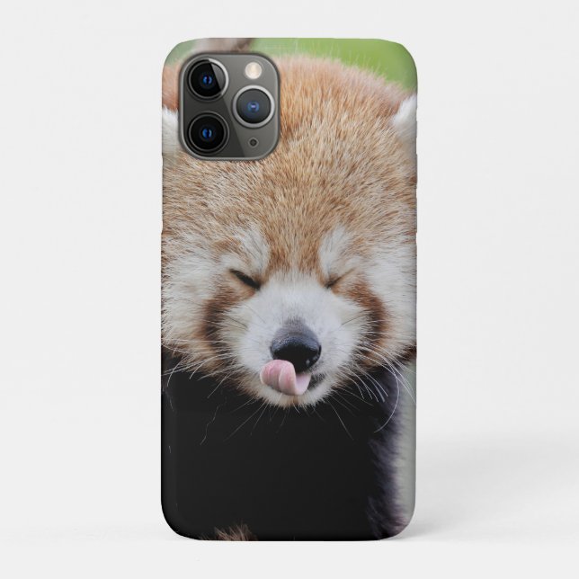 iPhone Gehäuse Foto Riesenpanda , Tiere. Case-Mate iPhone Hülle (Rückseite)