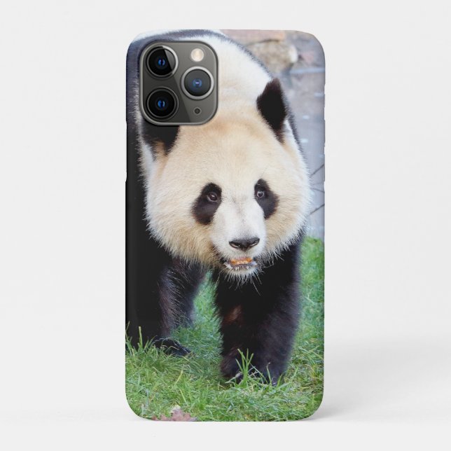 iPhone Gehäuse Foto Riesenpanda , Tiere. Case-Mate iPhone Hülle (Rückseite)
