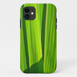 iPhone Hülle Grüne Maisæ5