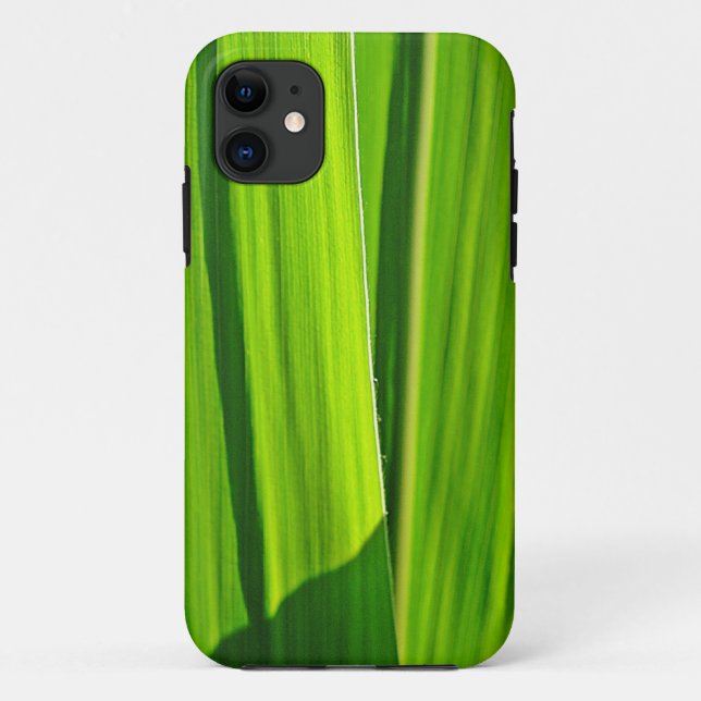 iPhone Hülle Grüne Maisæ5 (Rückseite)