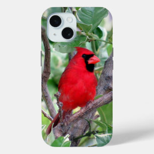 iPhone/iPad-Gehäuse für Kardinal Case-Mate iPhone Hülle