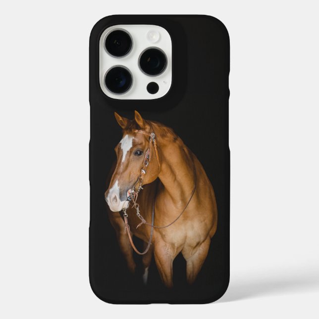 iPhone/iPad-Gehäuse iPhone 16 Pro Hülle (Rückseite)