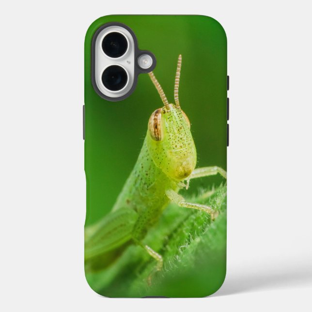 iPhone / iPad-Hülle 16 Hülle (Rückseite)