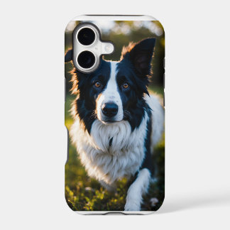 iPhone/iPhone-Fall von Hund