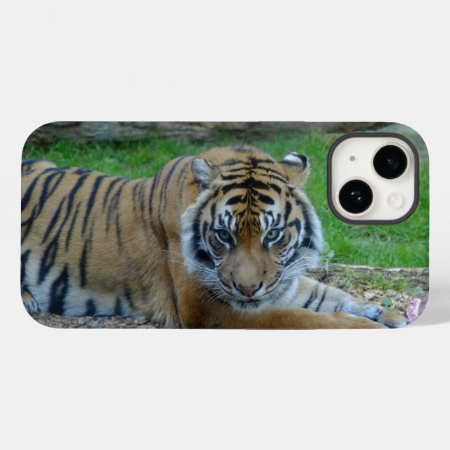 iPhone Tiger's Gaze / coque ipad (Verso (horizontal))