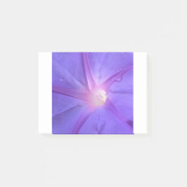 Ipomée Post-it Klebezettel