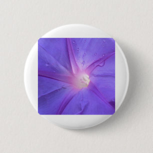 ipomus button