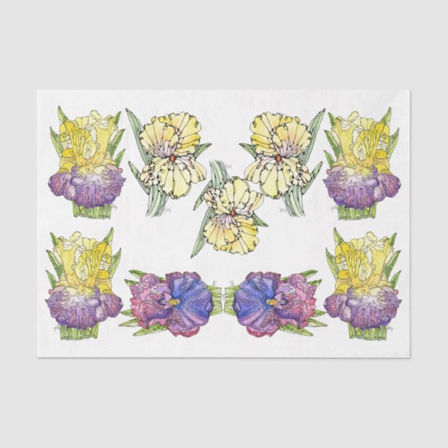 Ire Lila Gelb - Dekoupage Tissue Paper Seidenpapier (Vorderseite)