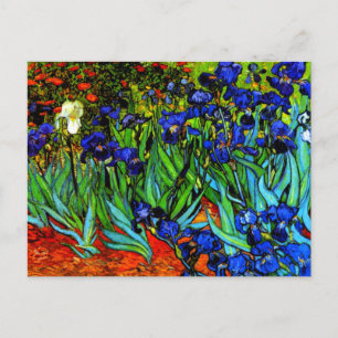 Ire, Van Gogh's berühmtes Blumenbild Postkarte