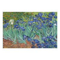 Ire von Vincent van Gogh