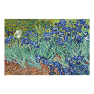 Ire von Vincent van Gogh Fotodruck