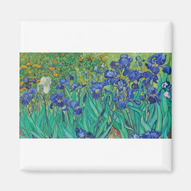 Ire von Vincent van Gogh Magnet (Vorne)
