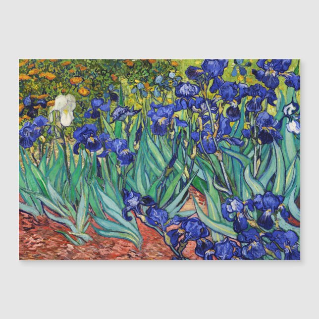 Ire von Vincent van Gogh Magnetkarte (Vorderseite)