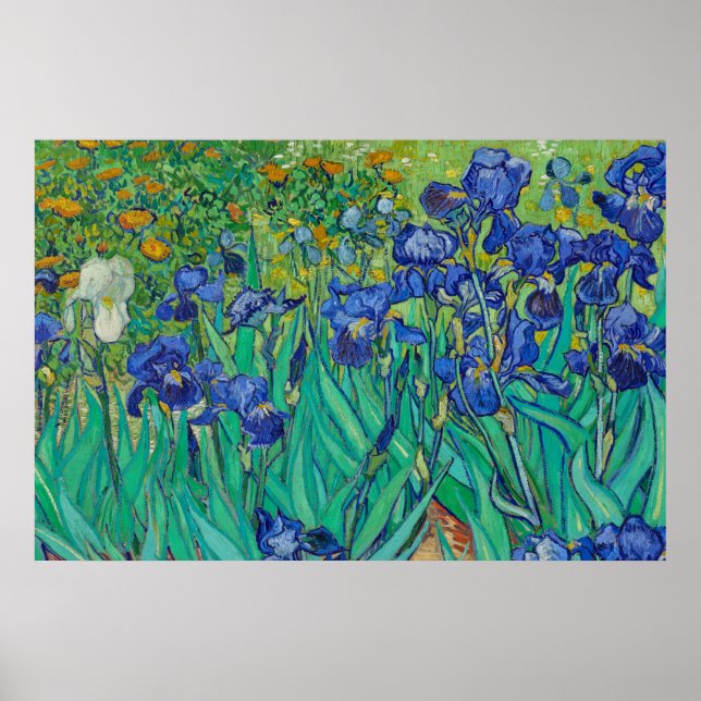 Ire von Vincent van Gogh Poster (Vorne)