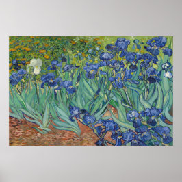 Ire von Vincent van Gogh Poster