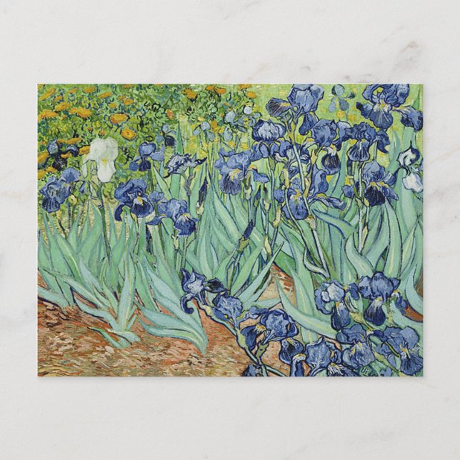 Ire von Vincent van Gogh Postkarte (Vorderseite)