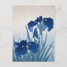 Iren von Ohara Koson