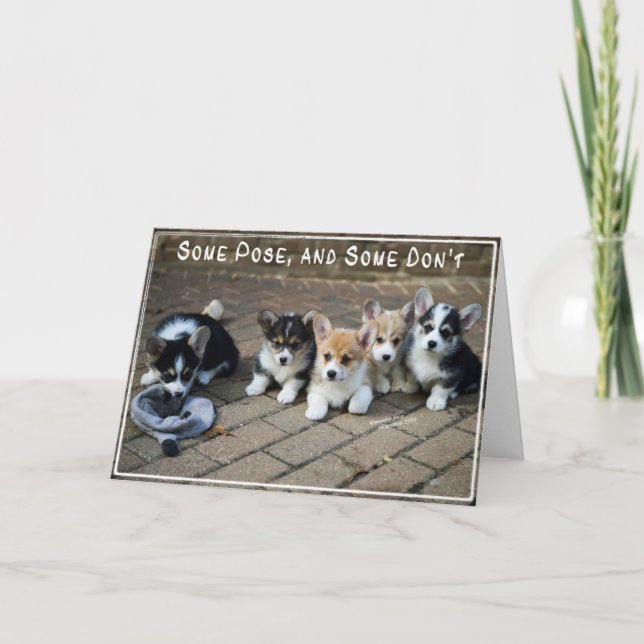 Irgendeine Pose, einige tun nicht ~ Corgi-Welpen Karte (Vorderseite)