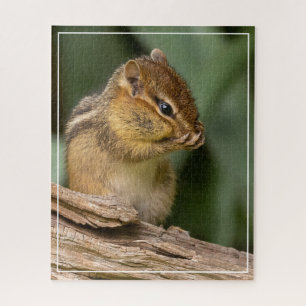 Irgendwas riecht nach Chipmunk