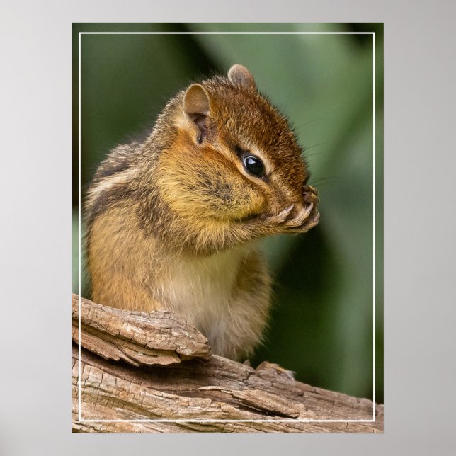 Irgendwas riecht nach Chipmunk Poster (Vorne)