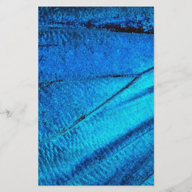 Iridescent Blue Butterfly Wing (Vorderseite)