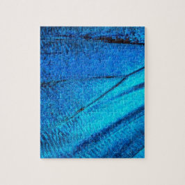 Iridescent Blue Butterfly Wing