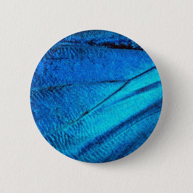 Iridescent Blue Butterfly Wing Button (Vorderseite)