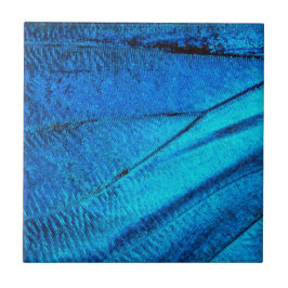 Iridescent Blue Butterfly Wing Fliese